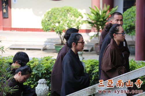 戒子们排班