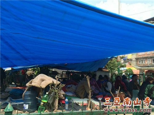 临时搭建的安置点
